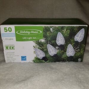 Cool White LED 50 Light Set